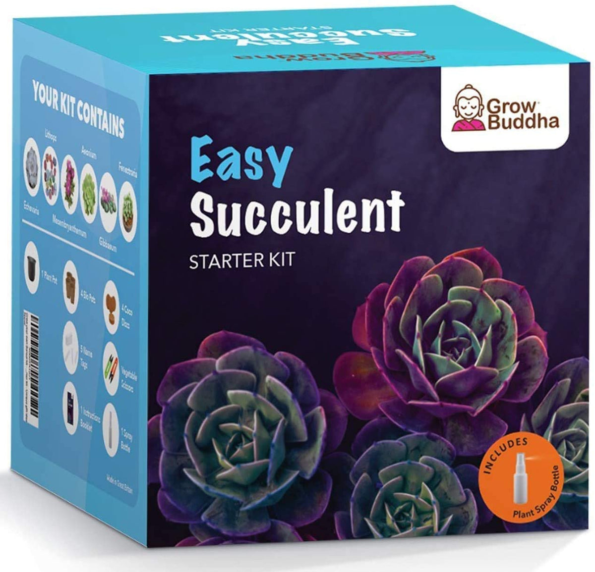 Grow Your Own Succulents Starter Kit – Grow Buddha