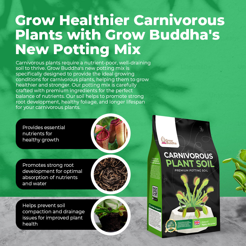 carnivorous plant potting soil Carnivorous Plant Potting Soil Compost