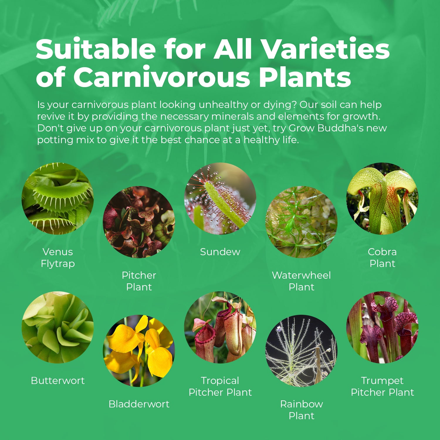 potting mix for carnivorous plants Carnivorous Plant Potting Soil Compost