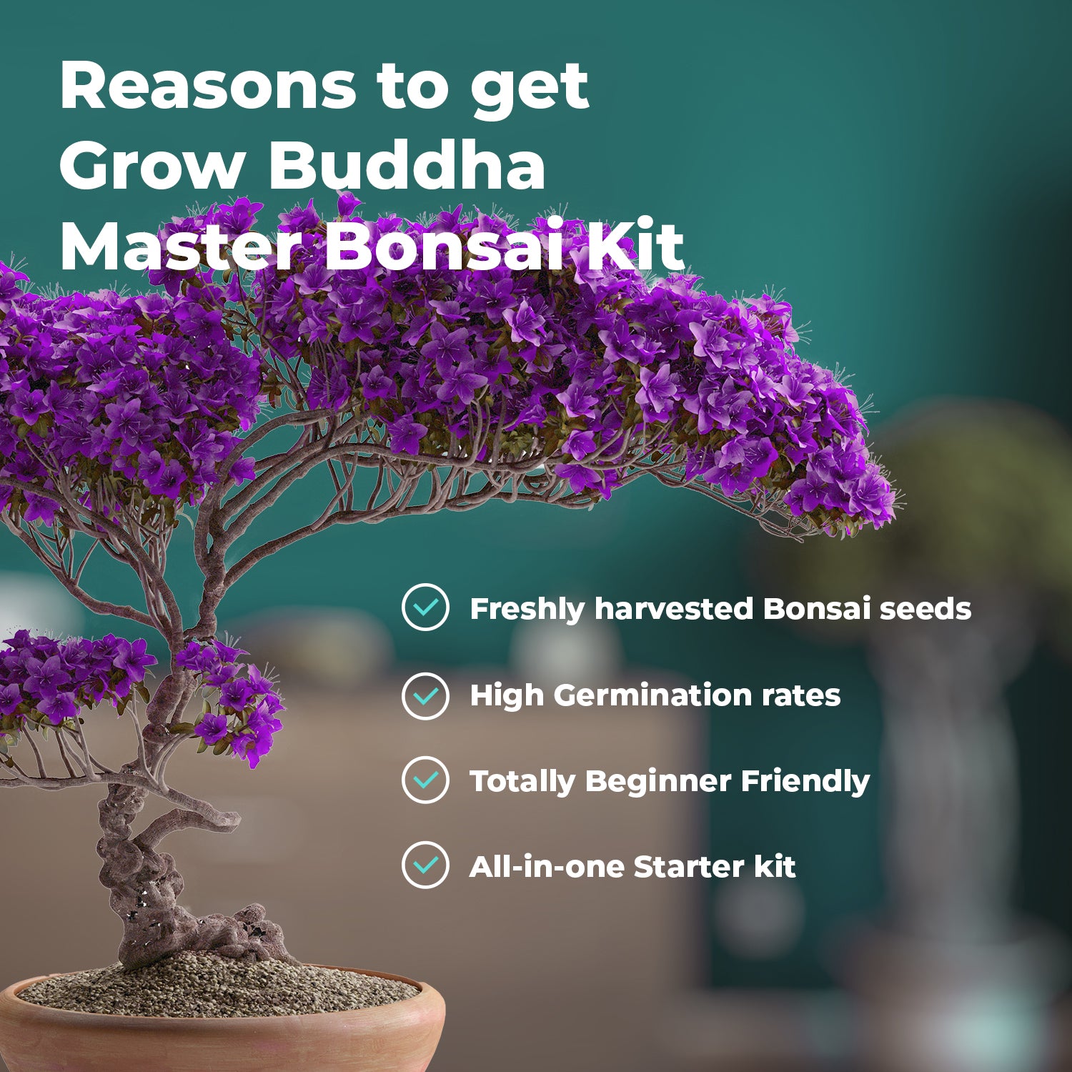 Bonsai Starter Kit - Gardening Gift for Women & Men Austria