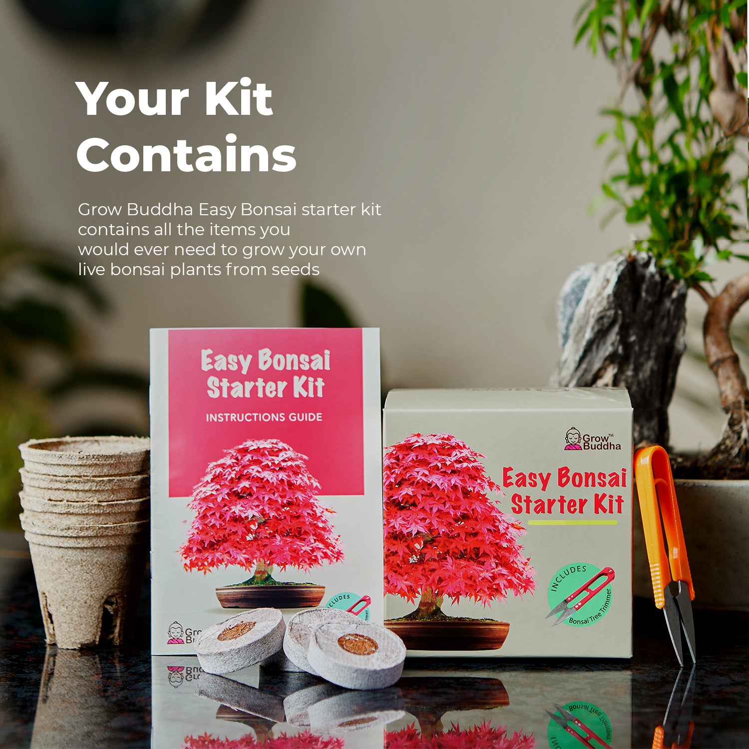 Grow Your Own Bonsai Starter Kit – Grow Buddha