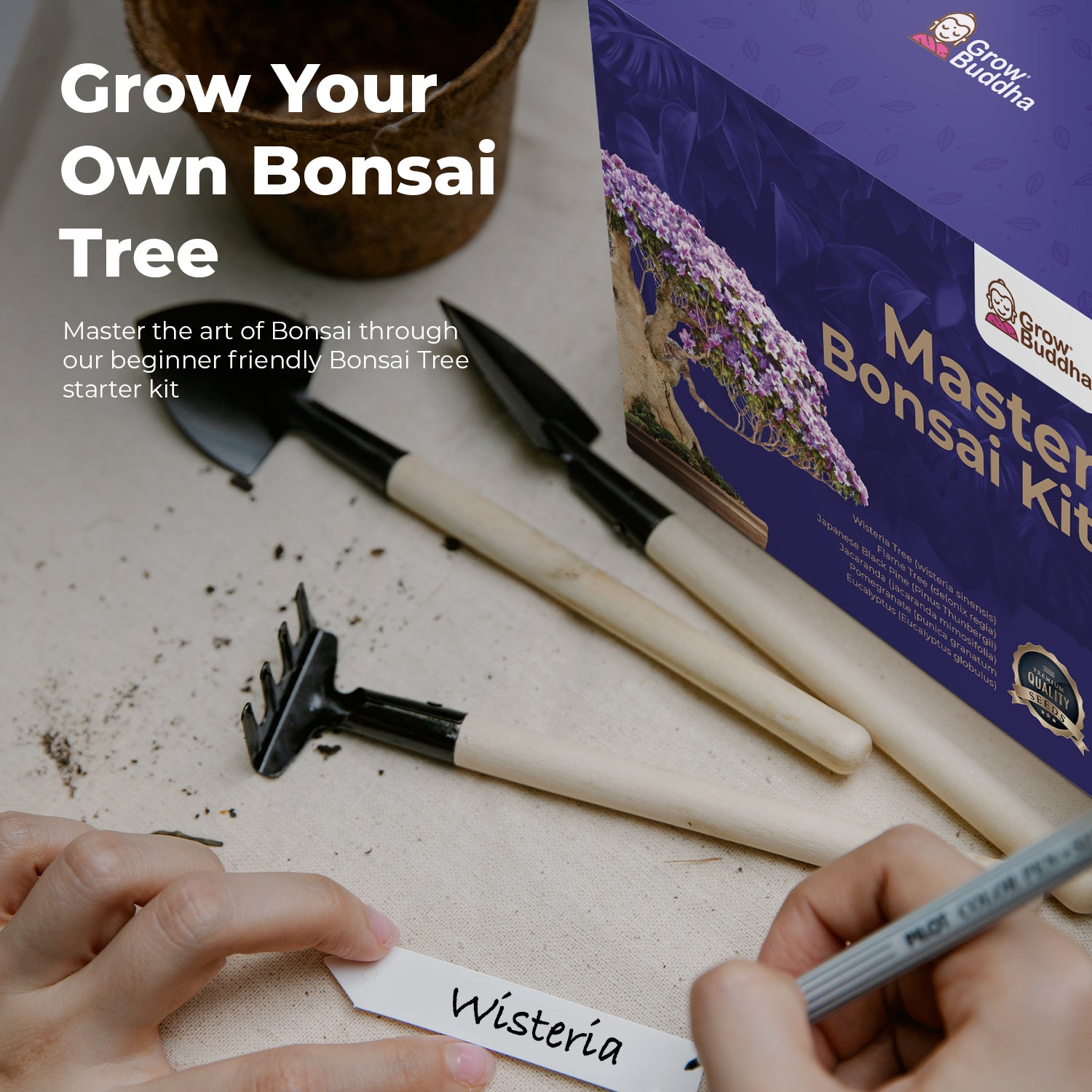 Bonsai Tree Kit, bonsai Starter Kit,Bonsai Tree Starter Kit,mini