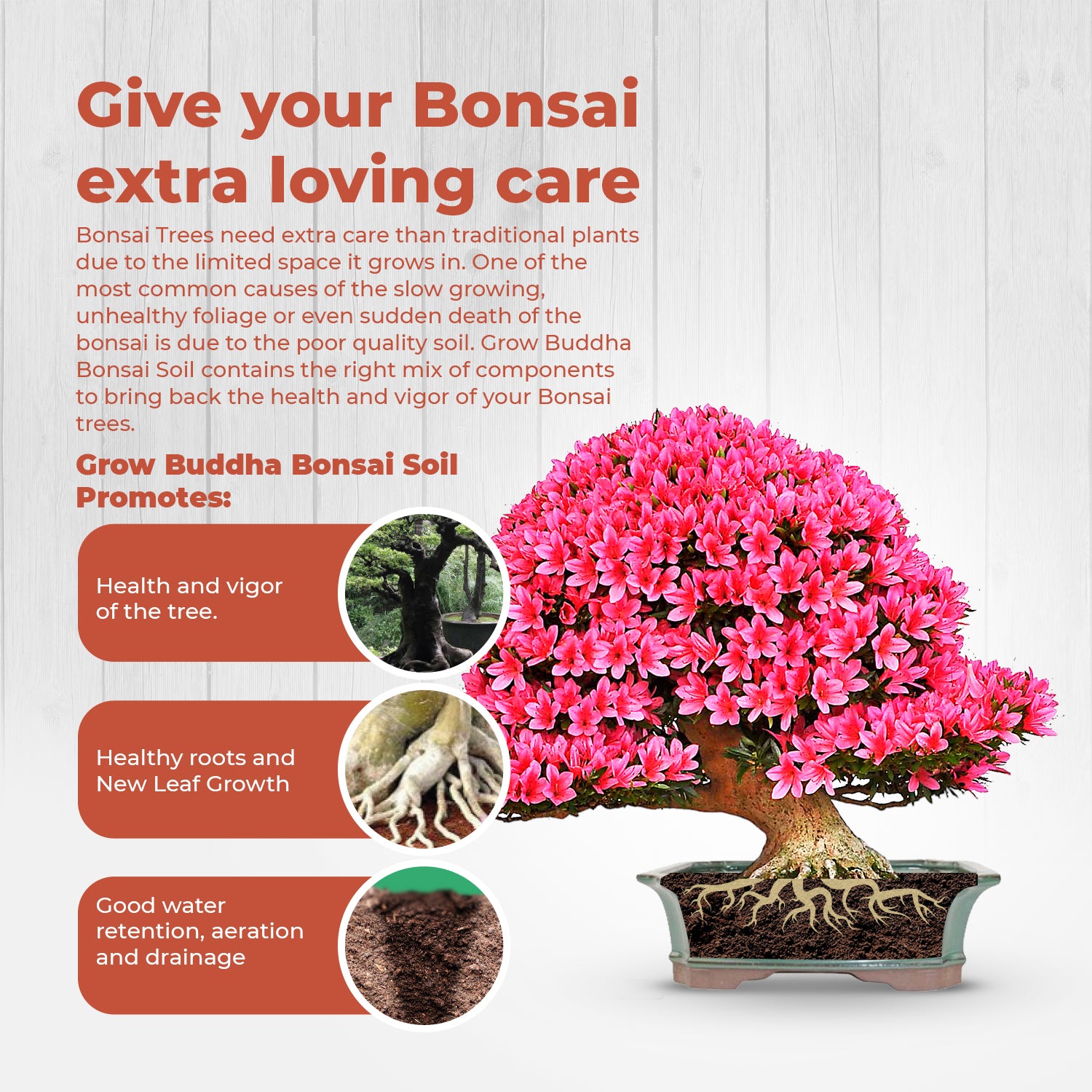 bonsai tree potting soil Bonsai Potting Soil