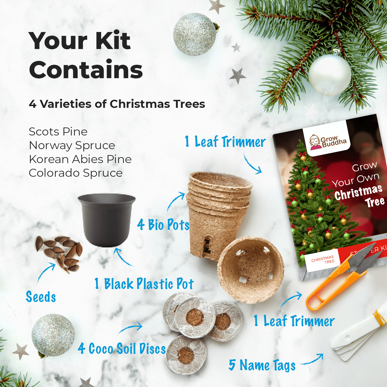 Grow Your Own Christmas Tree Kit Instructions Grow Your Own Christmas Tree Kit Instructions
