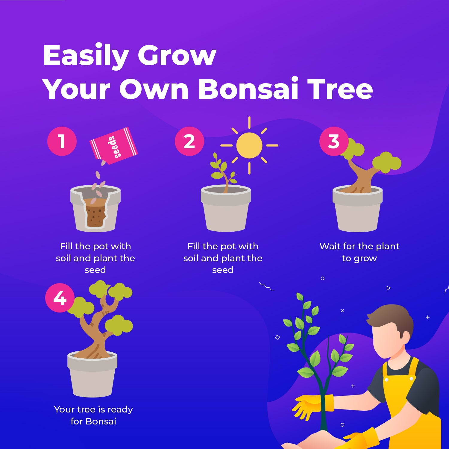 planting a bonsai tree from seed Grow 8 Bonsai Trees Seeds Set – Grow Buddha