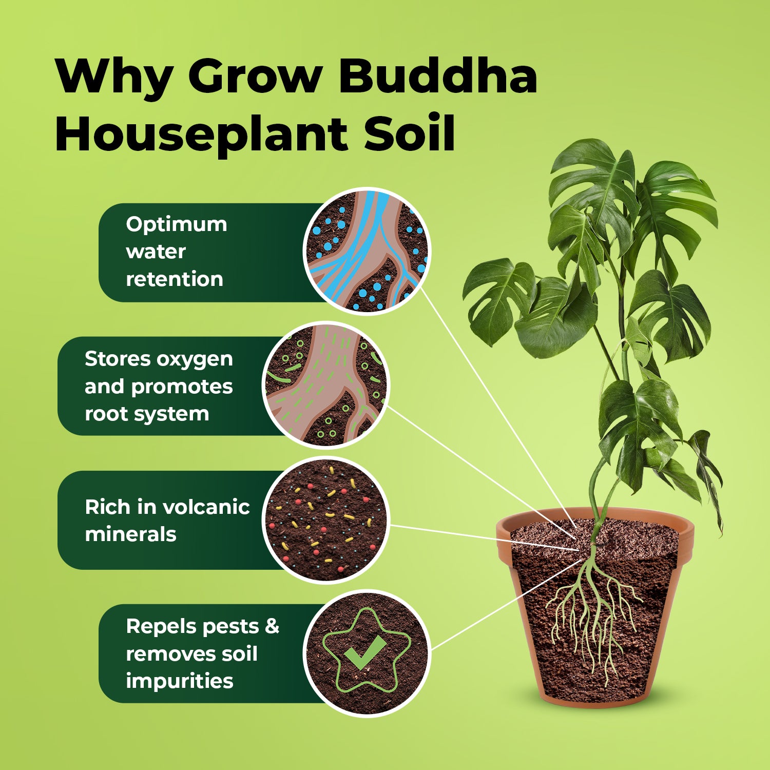 can i use potting soil for indoor plants Houseplant Potting Soil