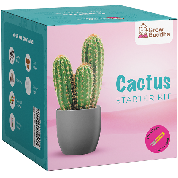 Grow Your Own Cactus Starter Kit – Grow Buddha