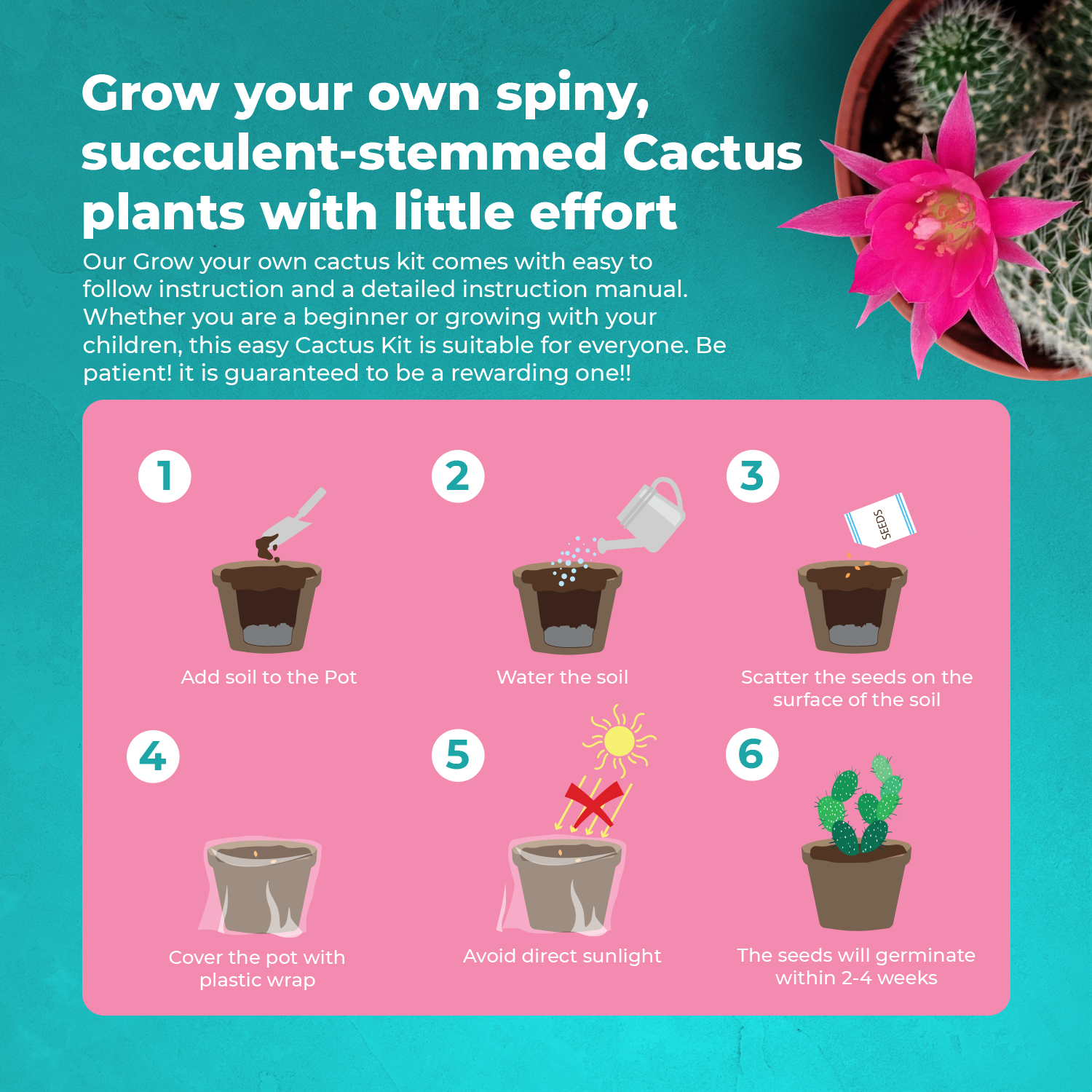 Grow Your Own Cactus Starter Kit – Grow Buddha
