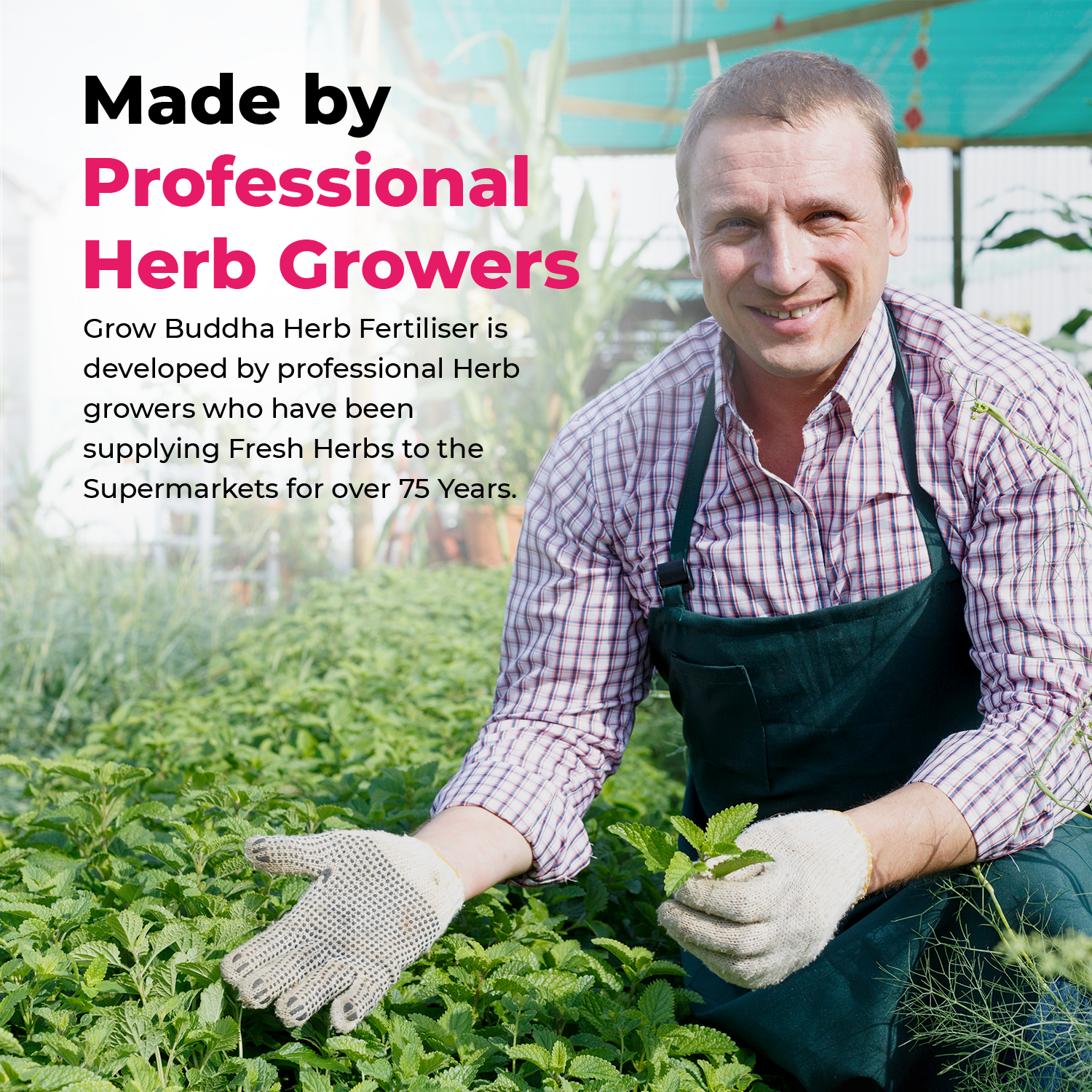 Fertilizer best sale for herbs