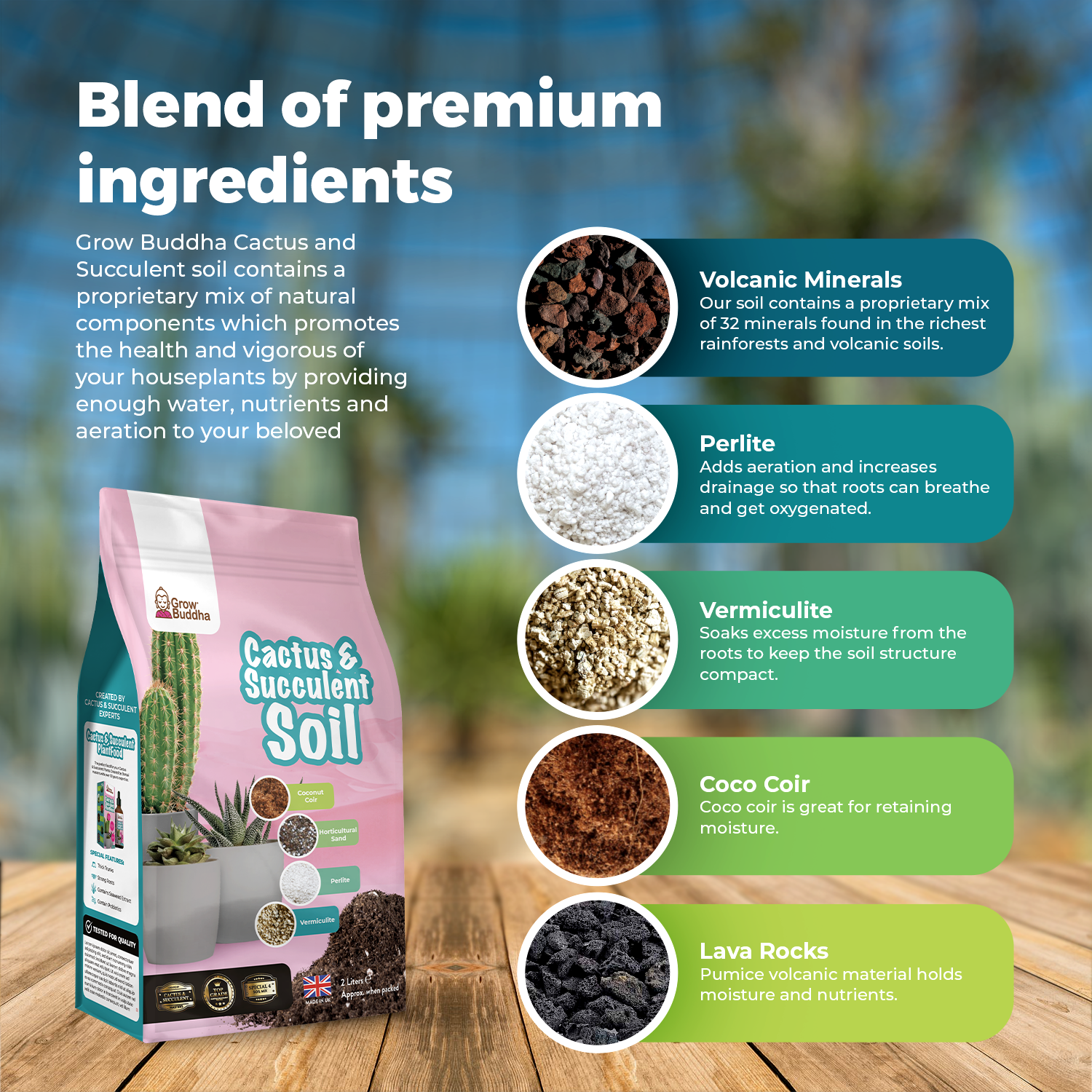 ingredients in cactus soil Cacti and Succulent Potting Soil